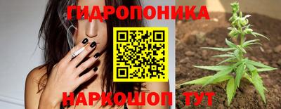 индика Бузулук