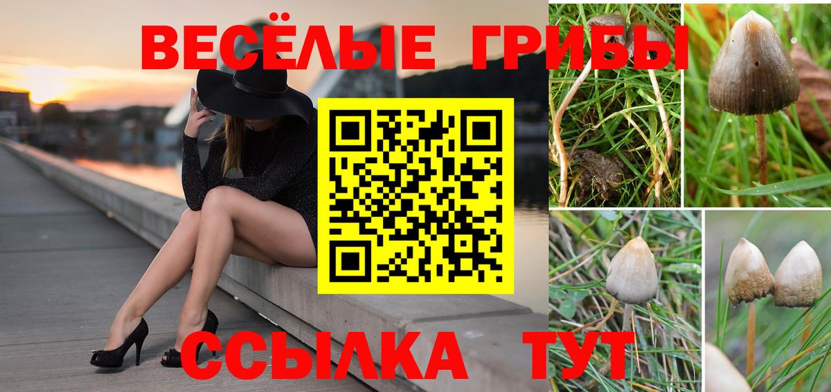 Псилоцибиновые грибы Magic Shrooms Партизанск