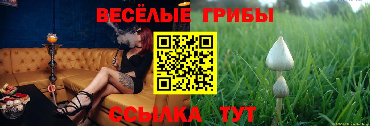 Галлюциногенные грибы мухоморы  Галлюциногенные грибы прущие грибы  Вход с VPN  Партизанск 